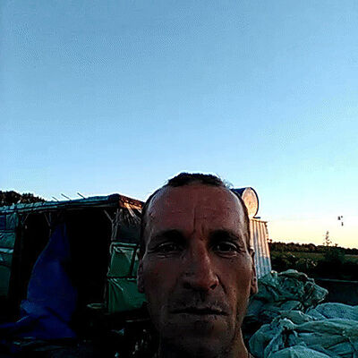  --,   , 51 ,   