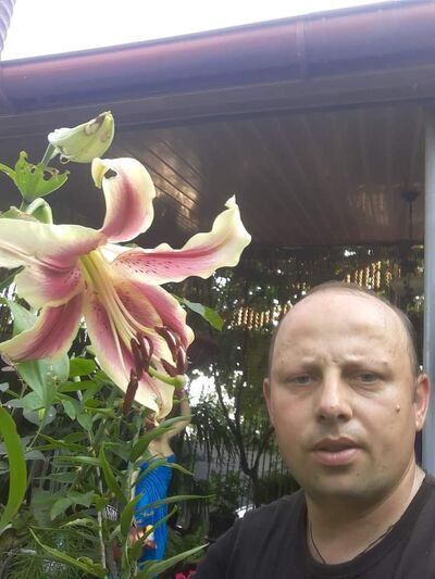  ,   , 43 ,   ,   