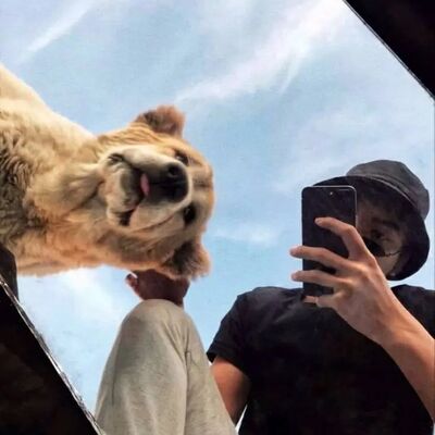 ,   , 23 ,   ,   