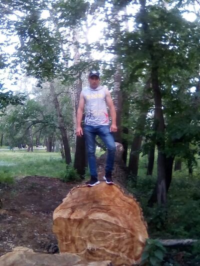  ,   , 38 ,     , c , 