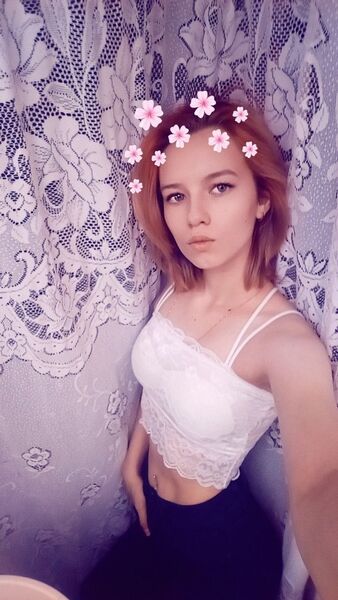  ,   Dino, 24 ,   ,   , c 