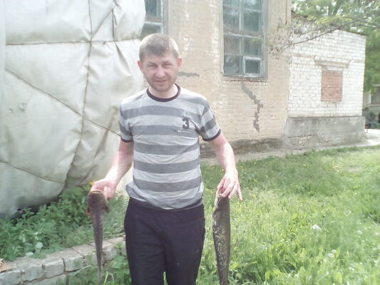  ,   , 44 ,   ,   , c , 