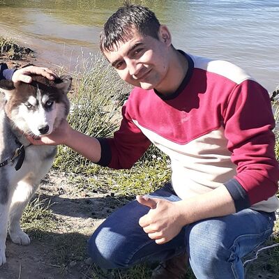 -,   , 31 ,   ,   , c 