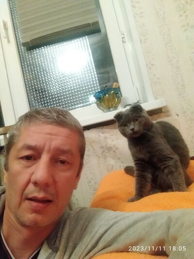  ,   , 53 ,   ,   