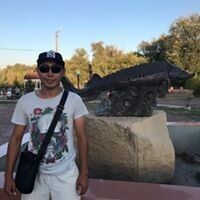  20650493  , 30 ,    