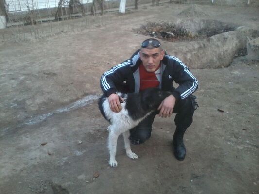  -,   , 39 ,   ,   , c , 