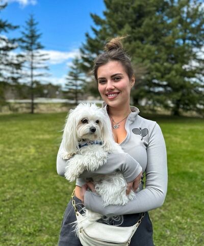  ,   , 29 ,     , c , 