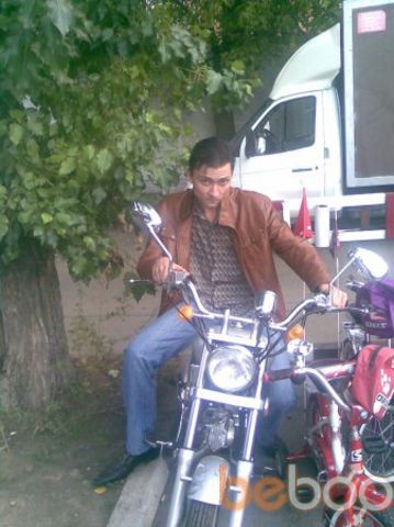  ,   ABBATfox, 43 ,   ,   , c 