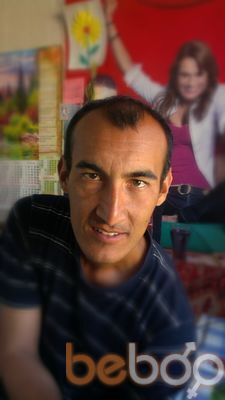  3438133  , 44 ,    -