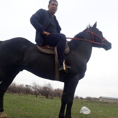  ,   Qodirqul, 47 ,   ,   , c , 