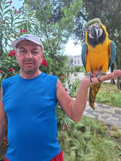  ,   Sergey, 51 ,     , c 