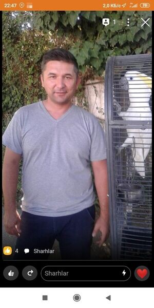  ,   SAID, 41 ,  