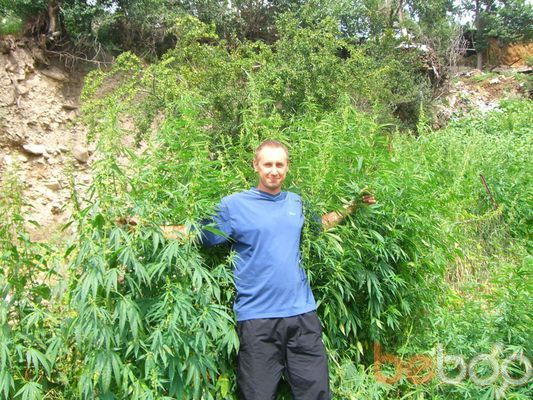  ,   Varvar, 46 ,   