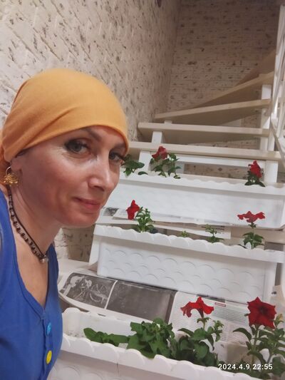  ,   , 46 ,   ,   