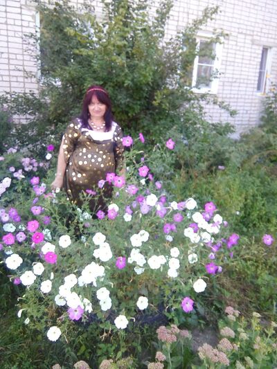  ,   , 66 ,   ,   