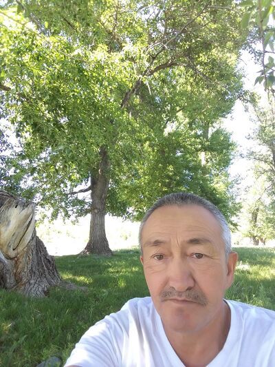  ,   Saur, 64 ,   ,   , c 