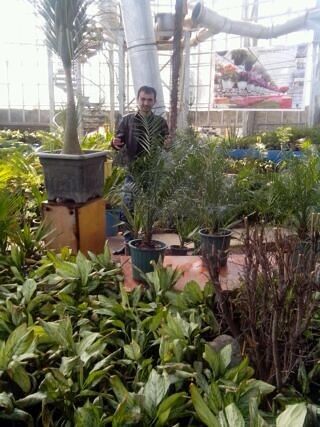 ���������� �������, ���� ������� ������, 39 ���, ������������ ��� ������, ����� � ���������, c�������� ���������