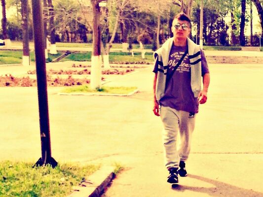  ,   Timur, 28 ,     , c 