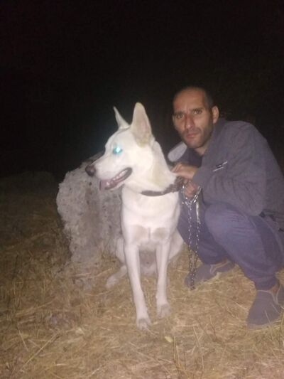  ,   , 40 ,   ,   