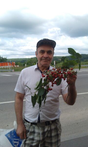  ,   Borys, 71 ,     , c 