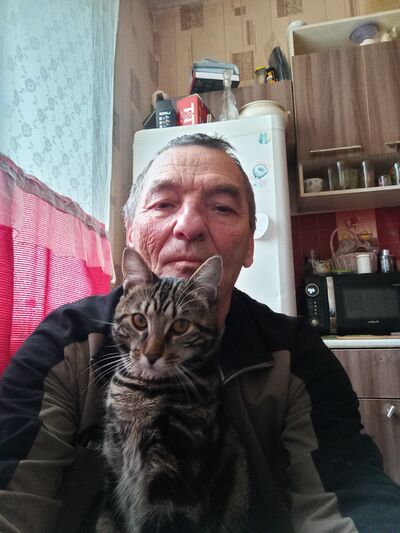 ,   , 62 ,   ,   , c 