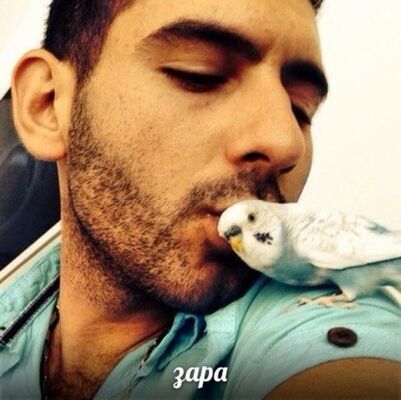  Alanya,   Serdal, 36 ,   ,   , c 