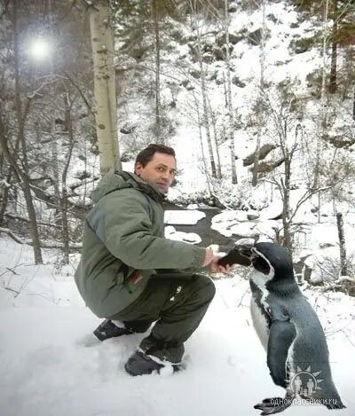 ���������� ������, ���� ������� ����, 47 ���, ������������ ��� ������, ����� � ���������