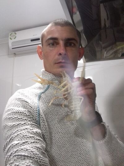  -,   , 42 ,   