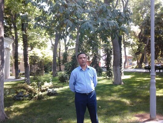  ,   CAVID, 50 ,   