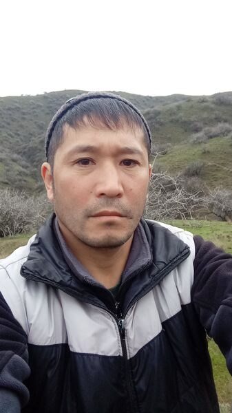  -,   , 44 ,   ,   