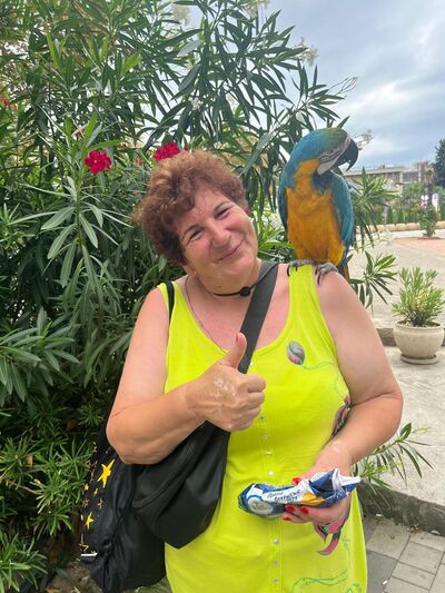  ,   , 62 ,   ,   , c 