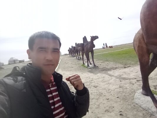  ,   , 33 ,     , c 