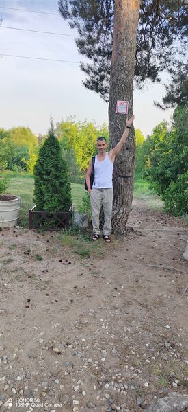  ,   , 46 ,   ,   