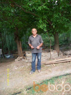  ,   Temur, 66 ,   ,   , c 