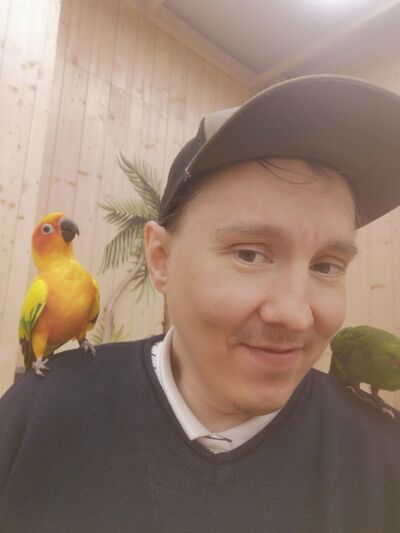  -,   , 36 ,   ,   , c 