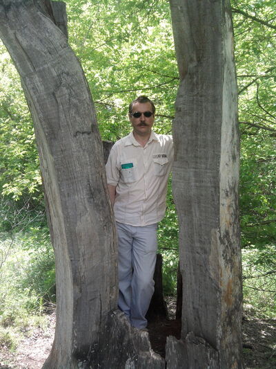  ,   , 59 ,   