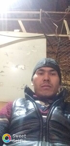  -,   Temur, 33 ,   ,   