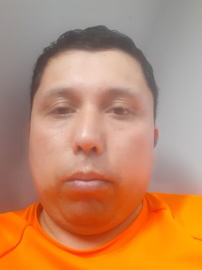  -,   , 40 ,   ,   