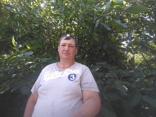  ,   , 56 ,   ,   , c , 