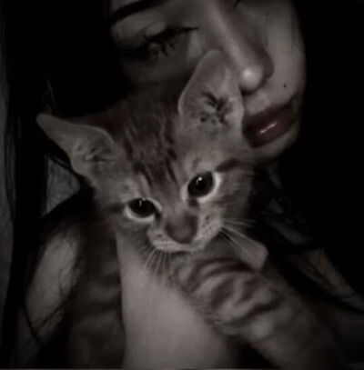  --,   , 19 ,   , 