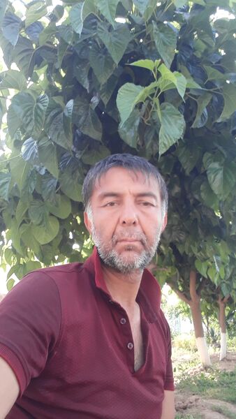  ,   , 53 ,   ,   