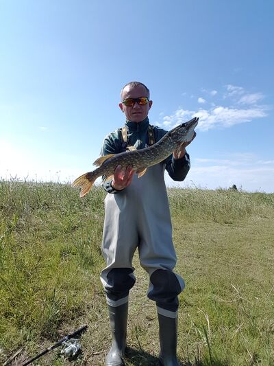  ,   Vasyl, 46 ,   ,   , c 