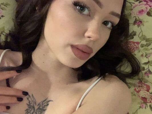  -,   , 23 ,   ,   