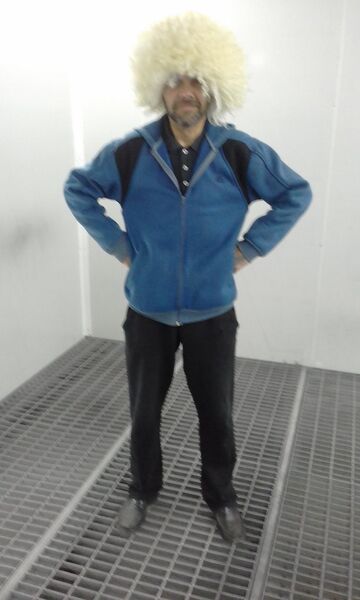  -,   , 55 ,   ,   , c 