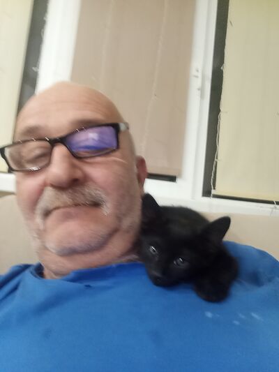  --,   , 60 ,   ,   