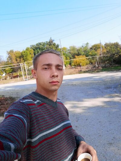  ,   Vitek, 27 ,   ,   , c 