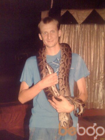 ���������� ��������, ���� ������� �����, 43 ����, ������������ ��� ����� � ���������, c�������� ���������, ���������