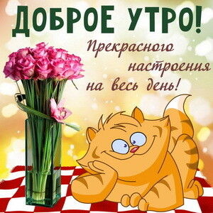 ���������� ��������, ���� ������� Shavkat, 30 ���, ������������ ��� ������, ����� � ���������, c�������� ���������