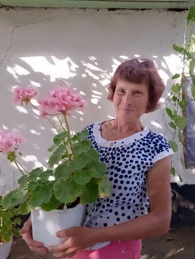  ,   , 61 ,   ,   