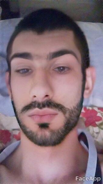   ,    , 33 ,   ,   